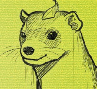 Frankie Ferret, ISabella's Pink Bicycle, Once Upon a NOW, children's books, kids literature, Emma Calin, review