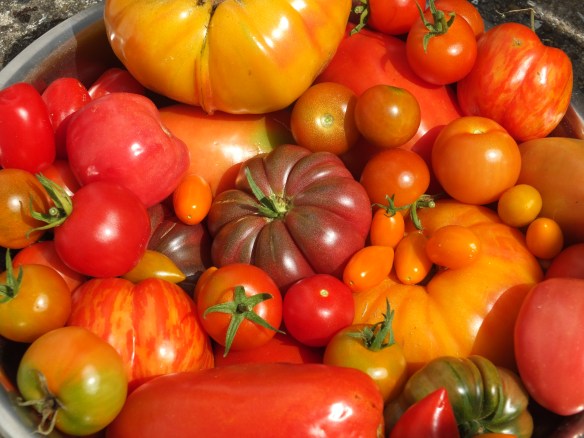 Fruity in France 28.8.2017 004